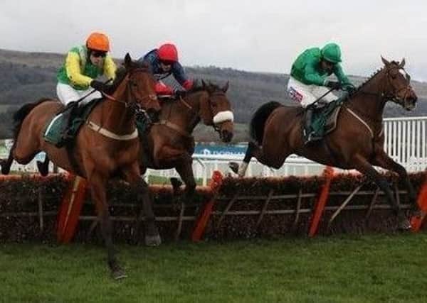 Midnight Shadow and Danny Cook (left) return to Cheltenham where they won the Relkeel Hurdle on New Year's Day.