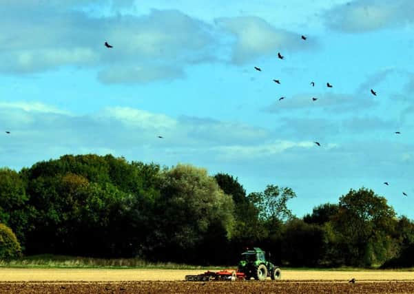 The Government's Agriculture Bill is too skeletal in detail, Baroness Anne McIntosh said.