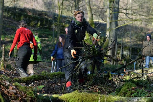 Work starts on a 2.6m project to protect people and wildlife at Hardcastle Crags, West Yorkshire.