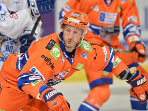MAKE IT COUNT: Captain Jonathan Phillips is expecting his Sheffield Steelers team to scrap for every single point on the run-in to the end of the regular season. Picture: Dean Woolley.