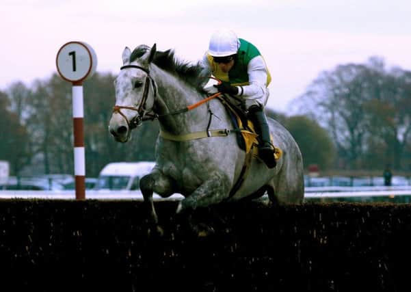 Haydock winner Vintage Clouds is the sole Yorkshire entry in this year's Grand National.