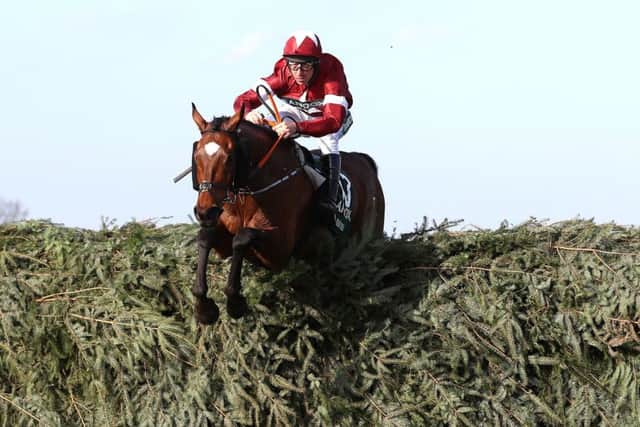 2018 Grand National winner Tiger Roll is pictured clearing the last fence under Davy Russell.