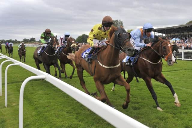 Action at Ripon, named one of the best racecourses in the country.