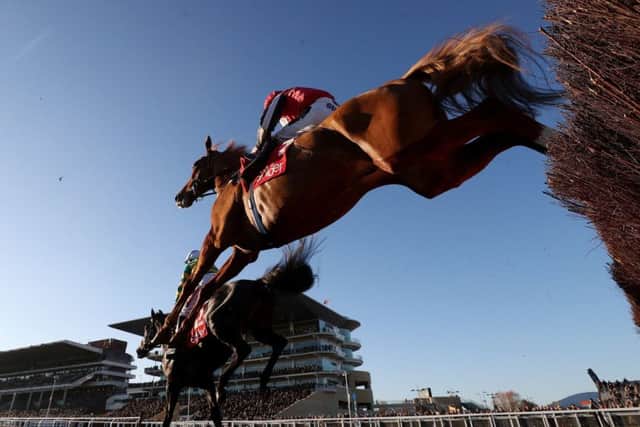 The Nicky Richards-trained Simply Ned in action at Cheltenham under Brian Hughes.
