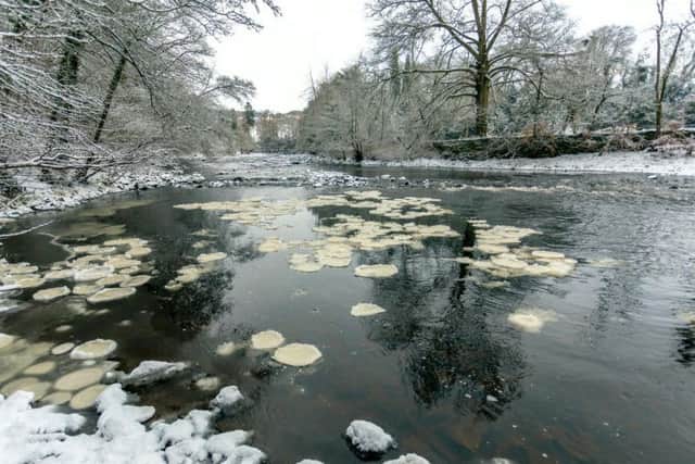 The incredible ice pancakes captured on a lake in Yorkshire. Photo: SWNS