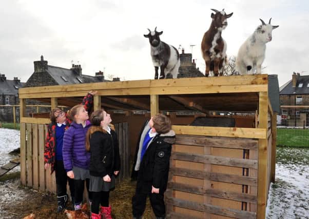 010219  Pupils at New Park Primary Academy school in Harrogate with their  three pygmy goats they have at the school.  For Education page.