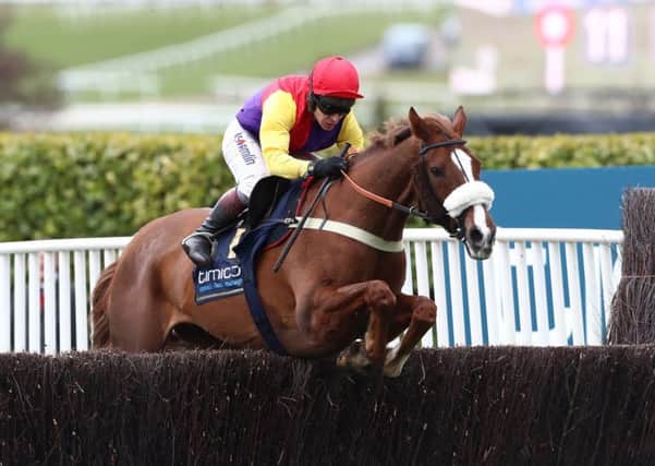 Champion jockey Richard Johnson and Native River clear the final fence in last year's Gold Cup.