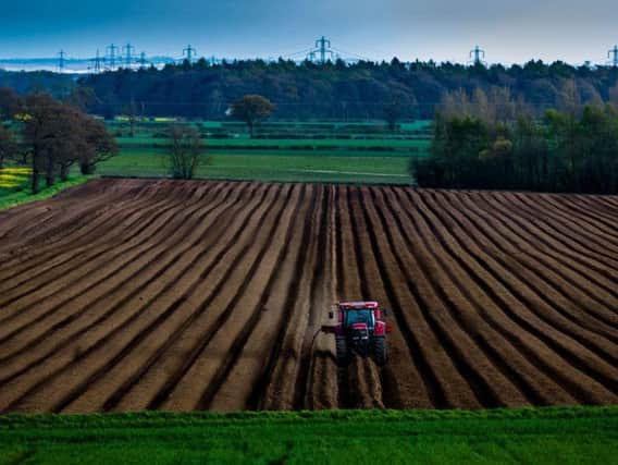If climate projections prove accurate, the UK could lose nearly 75 per cent of land that is currently well suited for potato production by the 2050s, according to a report by The Climate Coalition. Picture by James Hardisty.