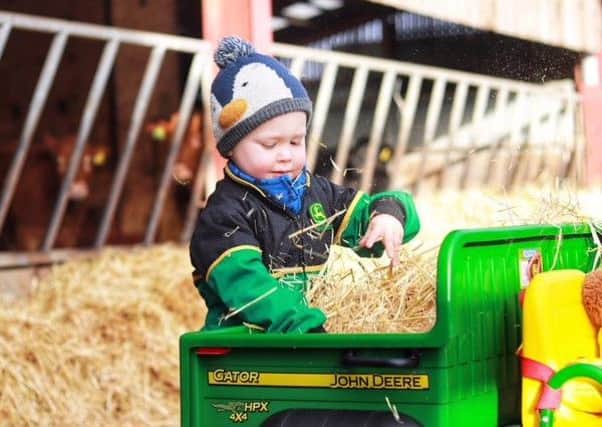 William Pearson from Bradford is only three-year-old but he is proving a dab hand on the family farm - as well as a star of social media. Picture by Helen Cussons.