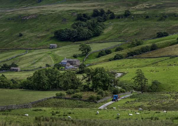 Many farm businesses are still awaiting long overdue payments for environmental schemes - as well as direct support payments. Picture by James Hardisty.