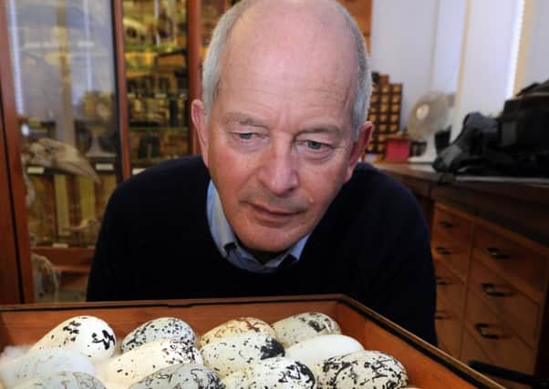 Professor Tim Birkhead with guillemot eggs.
