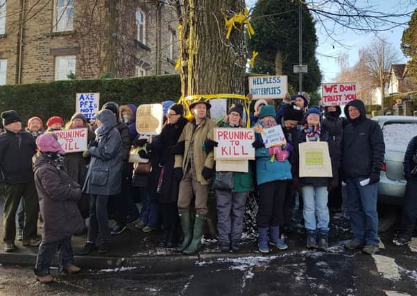 Tree campaigners by the Chelsea Road elm in February 2018. Picture: Press Association