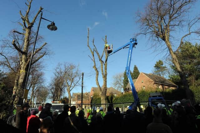 Members of the panel attended a tree-felling operation on Kenwood Road on March 8