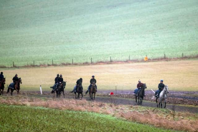 Horses on the gallops at Lambourn as racing remains in limbo.