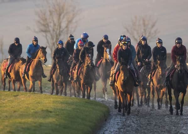 Racehorses exercising on the gallops in Lambourn, Berkshire on Tuesday (Picture: Steve Parsons/PA Wire).