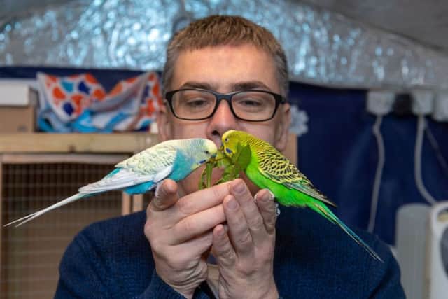 Khaled's budgies helped to provide comfort as he settled in his home in Barnsley.