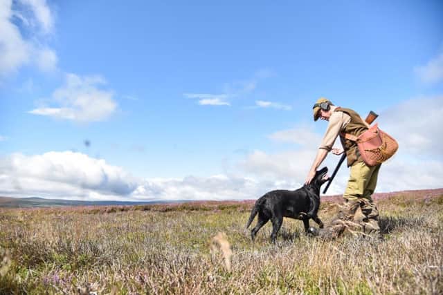 The first grouse shoot of the season last august. Picture: SWNS
