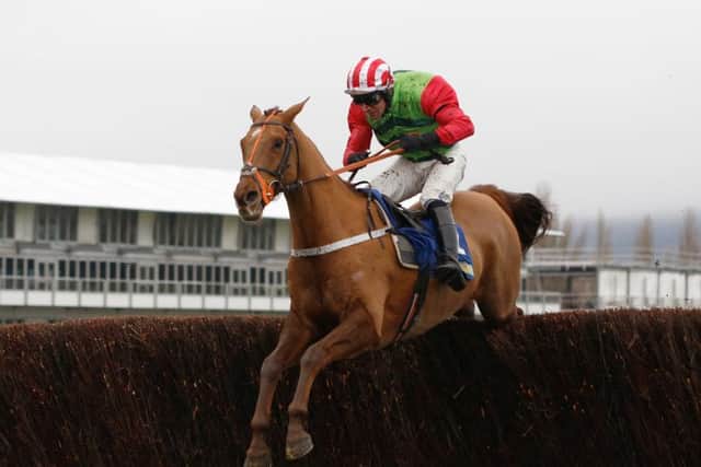 Definitly Red and jockey Danny Cook are bound for the Cheltenham Gold Cup (Picture: Julian Herbert/PA Wire).