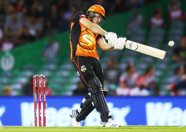 England bowler David Willey of the Scorchers bats during the Big Bash League match between the Melbourne Renegades and the Perth Scorchers. (Picture: Michael Dodge/Getty Images)