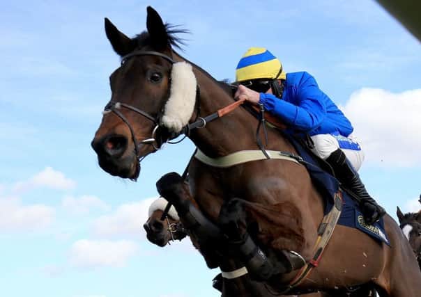 Jumping class: Shades of Midnight, ridden by Henry Brooke, wins at Haydock. (Picture: Clint Hughes/PA)