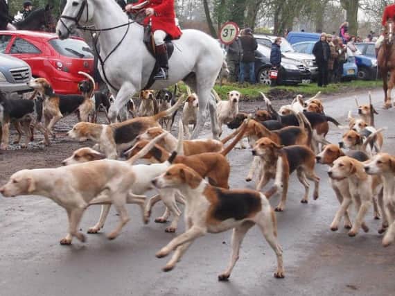 Since the season began the League Against Cruel Sports has had 282 reports of suspected illegal hunting