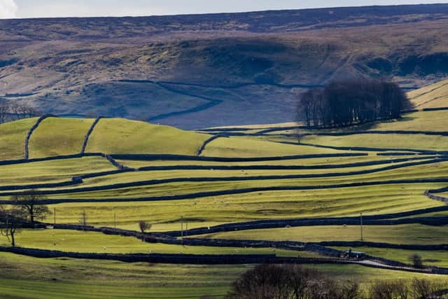 National politicians must not ignore communities in the Yorkshire Dales, says the Bishop of Ripon.