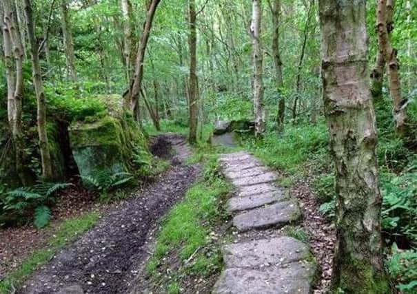 In Yorkshire, a trod is one of the names name given to an ancient paved path. Picture by Michael Robinson.