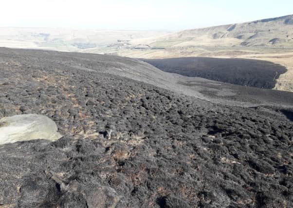 The fire on Marsden Moor was sited not far from the A62, between Close Moss and Easter Gate, to the east of Marsden village. Picture courtesy of the National Trust.
