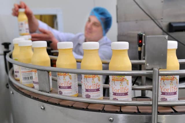 Grzegorz Zmudzki watching bottles of Yorlife Kefir come off the production line at Yorvale at Acaster Malbis near York.