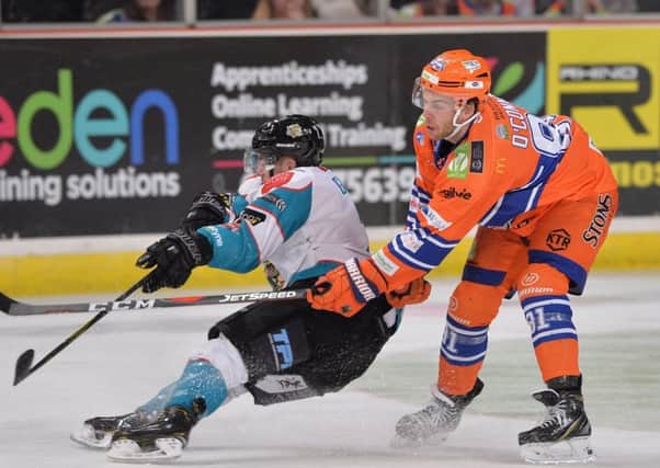SAME AGAIN PLEASE: Ben O'Connor, in action in Sheffield against Belfast Giants when the Steelers won 4-2 last December. 
PPicture: Dean Woolley.