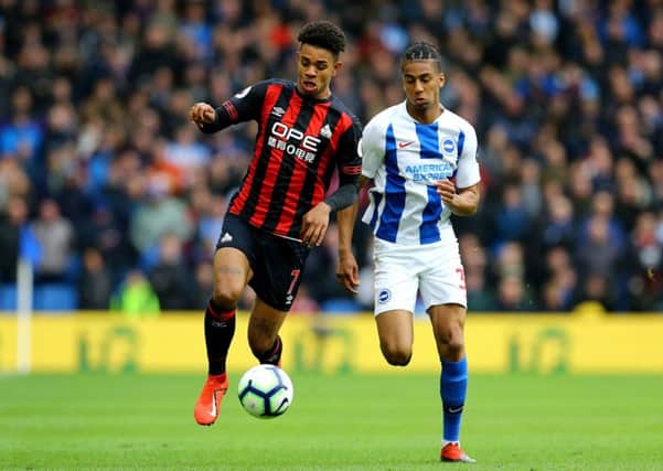 Competing all the way: Huddersfield Town's Juninho Bacuna ) and Brighton & Hove Albion's Bernardobattle for the ball.
