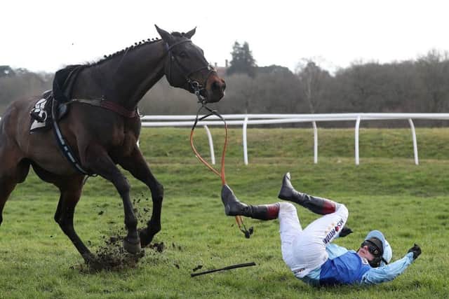 This is how Richard Johnson hit the deck at Newbury on Saturday.