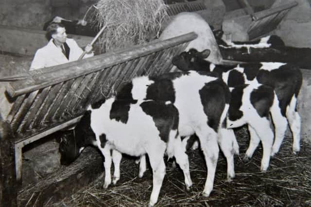 Steve Green, believed to be Britain's oldest working farmer, shown here at work in his early 20s.