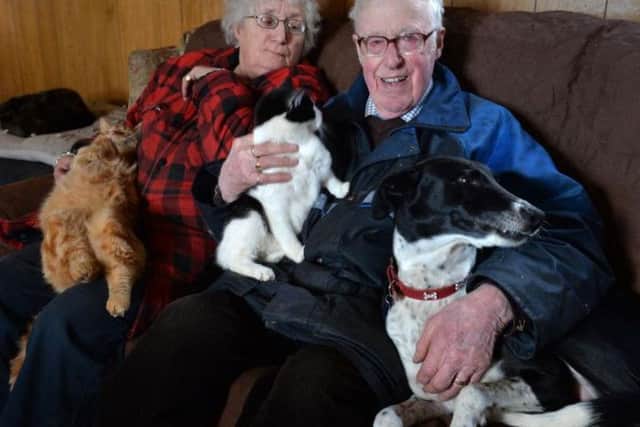 Jean and Steve Green with just some of their pets. The couple have 18 cats, one dog and two donkeys, as well as a herd of calves which make up their core farming business.