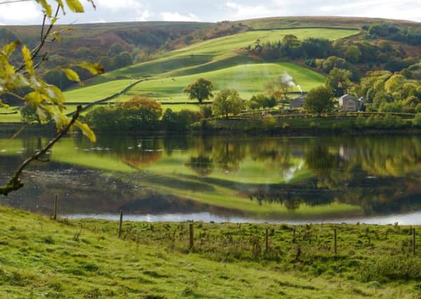 Looking west across Gouthwaite Reservoir on the Nidderdale Way. (Picture: Jacquetta Megarry).