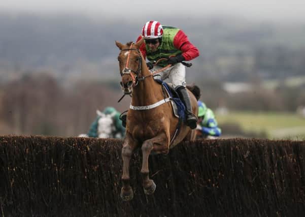 Danny Cook and Definitly Red clear the last in the 2018 Cotswold Chase at Cheltenham.