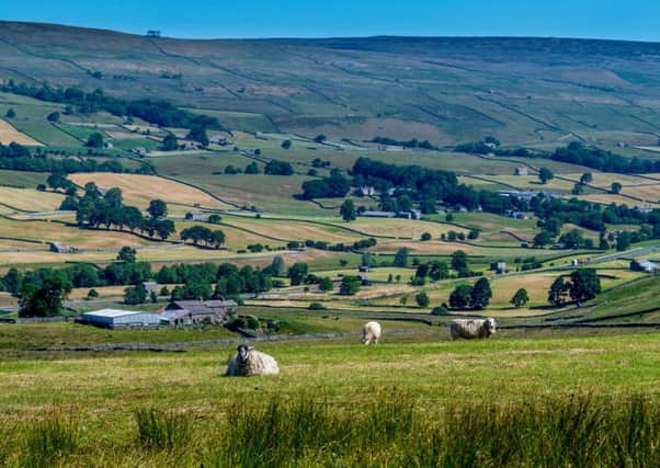 The Yorkshire Dales National Park Authority has agreed to put funds towards the delivery of a detailed action plan to stem the tide of young families leaving small Dales communities.