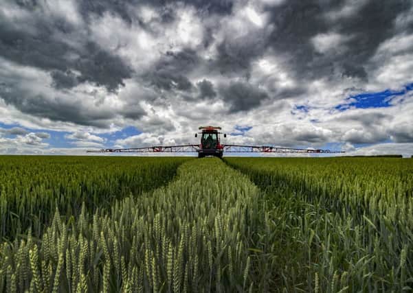 Climate change action can deliver agriculture from dramatic rainfall impacts, according to the study. Picture by James Hardisty.