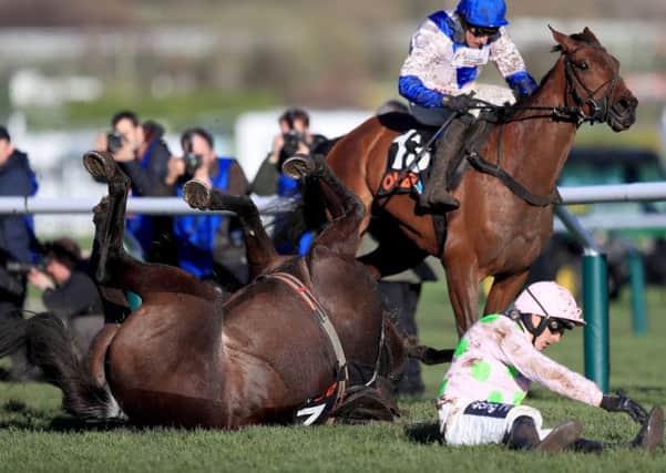 Drama at the last as Benie Des Dieux and Ruby Walsh come to grief at the last in the Mares' Hurdle, handing victory to Harry Skelton on Roksana.