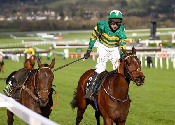 Mark Walsh and Espoir D'Allen are chased home in the Champion Hurdle by the riderless Buveur D'Air.