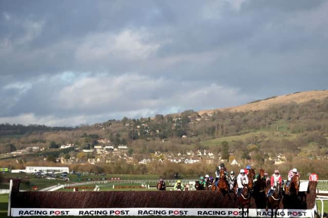 No stopping them: Day two is on at Cheltenham.