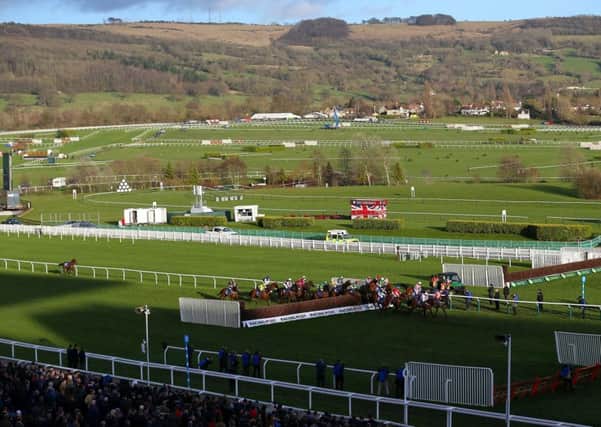 All systems go: Cheltenham passed an early inspection.