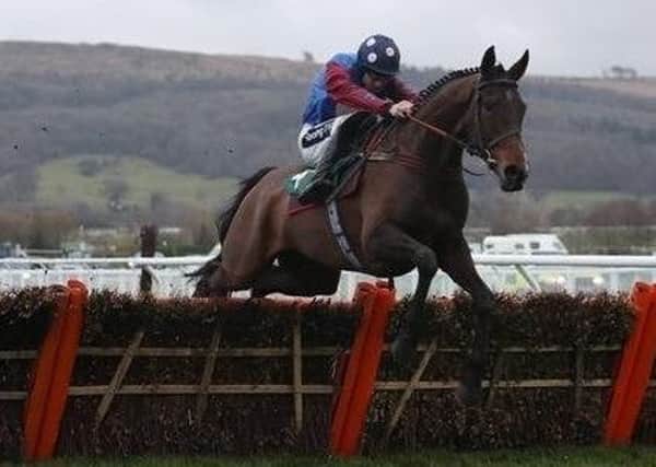 Paisley Park lines up in today's Stayers' Hurdle for owner Andrew Gemmell who has been blind since birth.