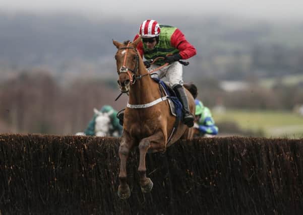 Definitly Red carries the hopes of Yorkshire in today's Cheltenham Gold Cup.