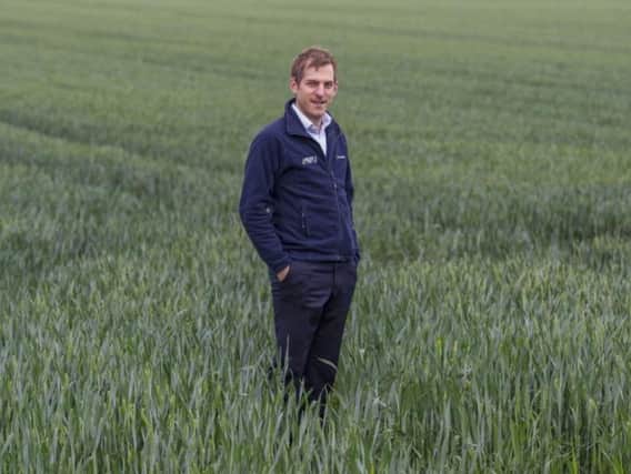 Adam Bedford is the regional director of the National Farmers' Union in Yorkshire and the North East. Picture by James Hardisty.