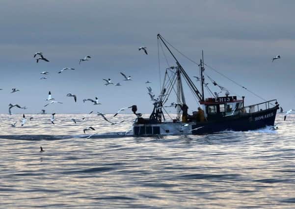 What will be the impact of Brexit on the fishing industry?