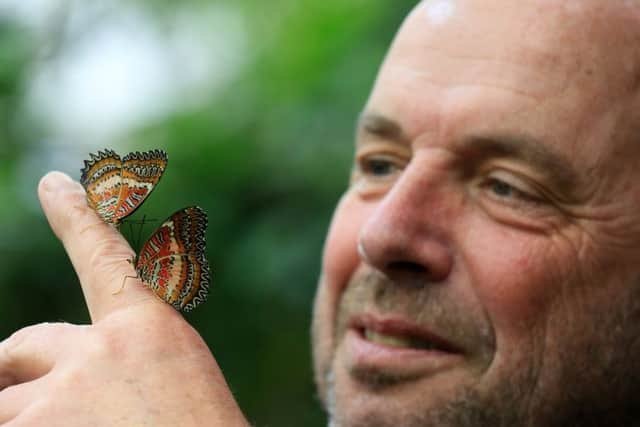 The Tropical Butterfly House Wildlife And Falconry Centre in North Anston is celebrating its 25th birthday this year. Pictured is Andrew Reeve. Picture: Chris Etchells