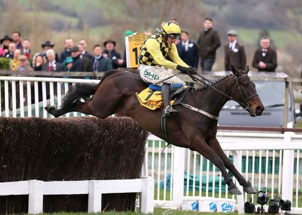 Al Boum Photo and Paul Townend clear the last in the Cheltenham Gold Cup.