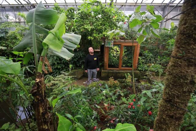 The Tropical Butterfly House Wildlife And Falconry Centre in North Anston is celebrating its 25th birthday. Pictured is Andrew Reeve. Picture: Chris Etchells