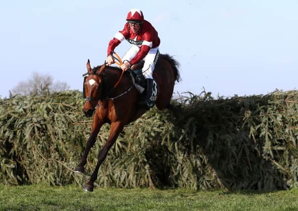 Tiger Roll and jockey Davy Russell as they cleared the final fence in last year's Grand National.